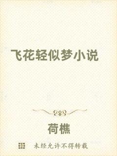 飛花輕似夢小說