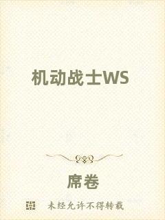 機動戰士WS