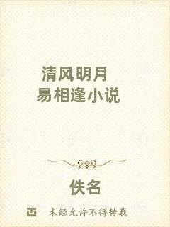 清風明月易相逢小說