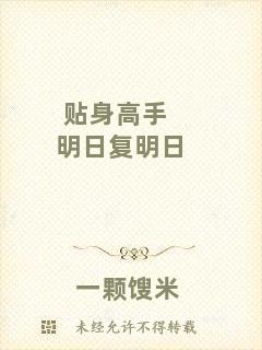 貼身高手明日復明日